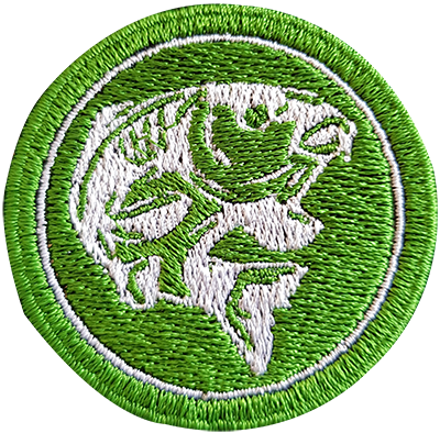 Example of a patch with 100% embroidery coverage
